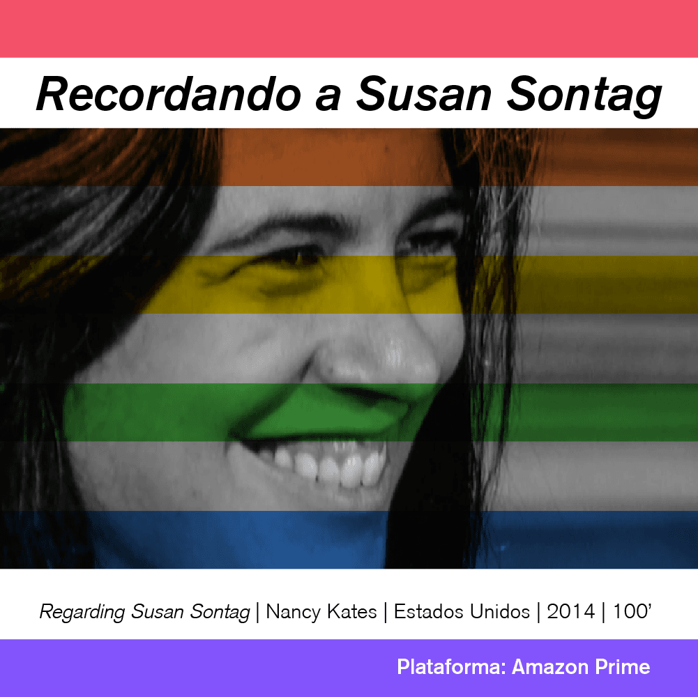4.-pelis-lgbt_regarding-susan-sontag.png