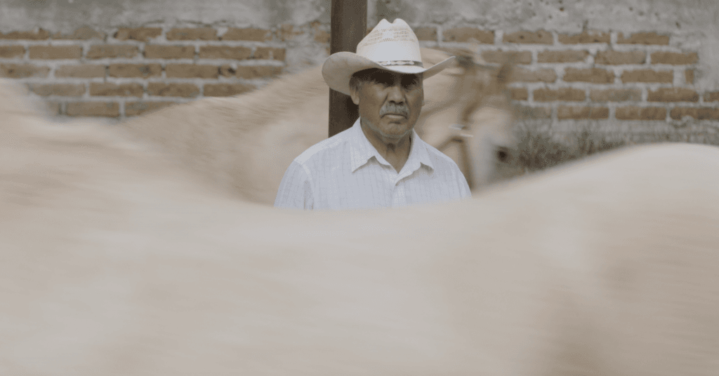Captura-de-pantalla-2019-05-10-a-las-12.27.11-1024x536.png