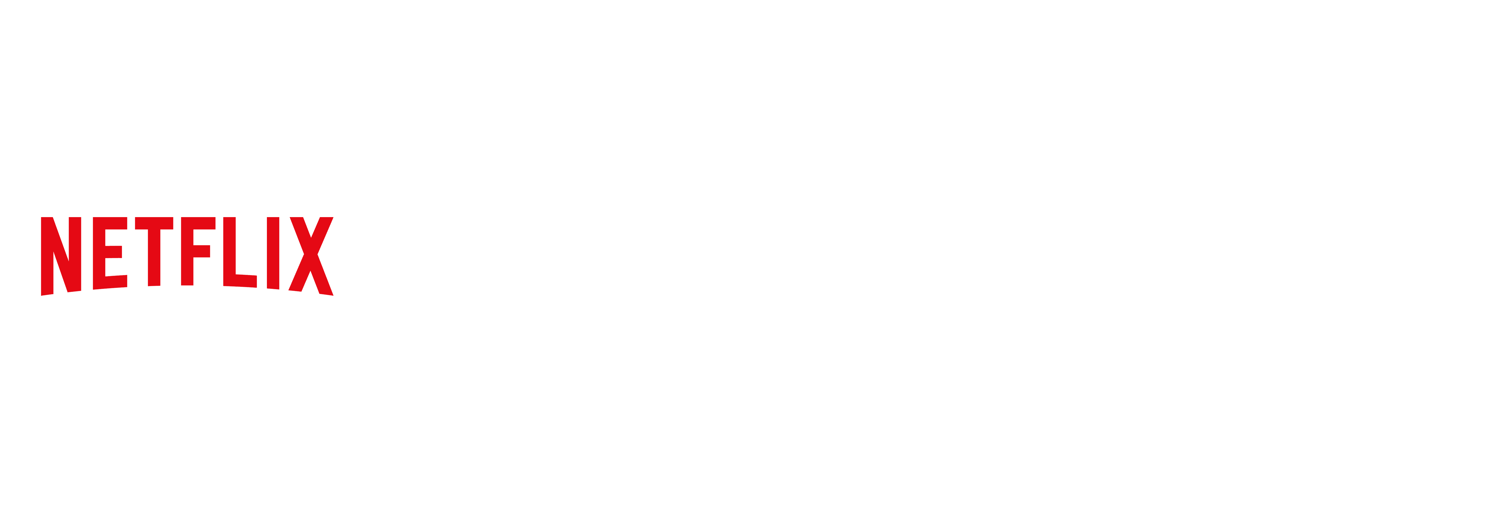 Netflix_web (1).png